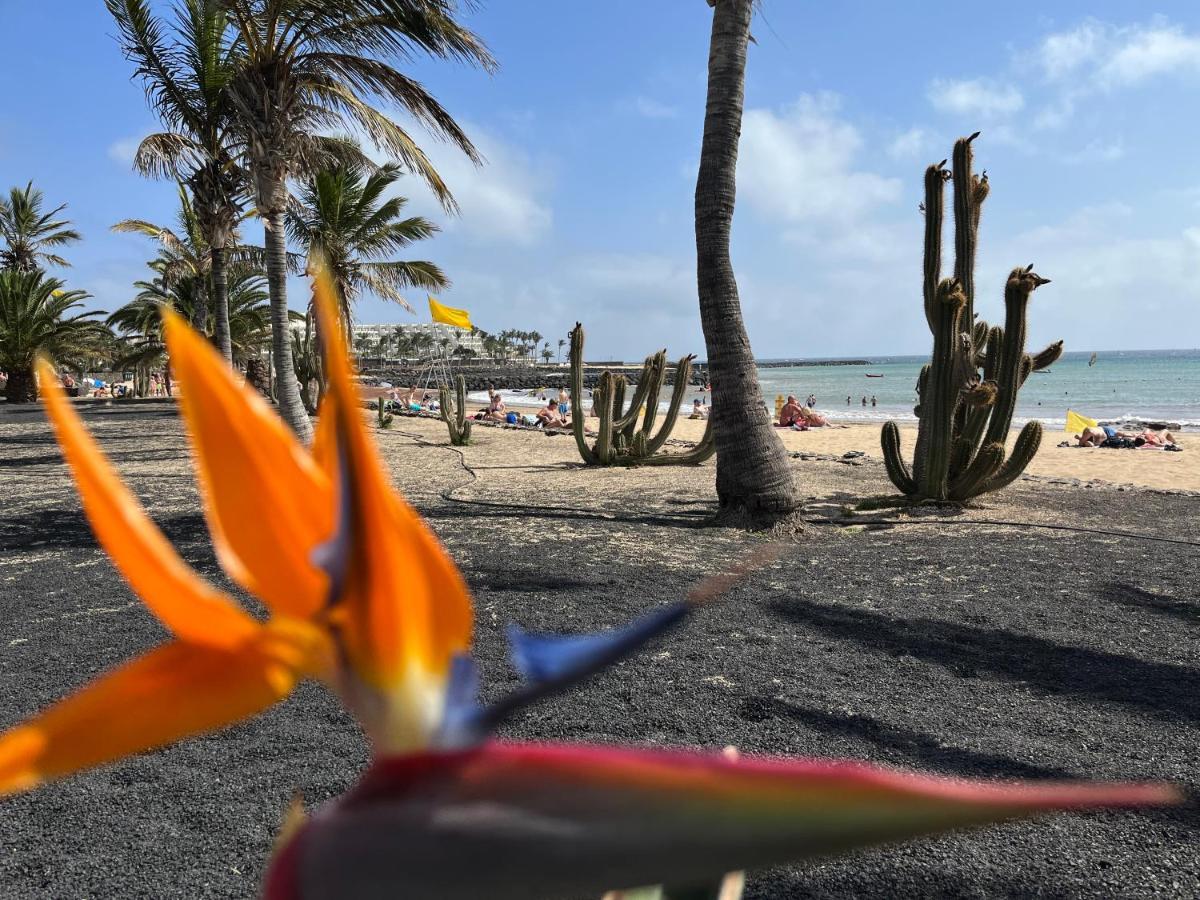 Apartament Casa Minerva Costa Teguise Zewnętrze zdjęcie